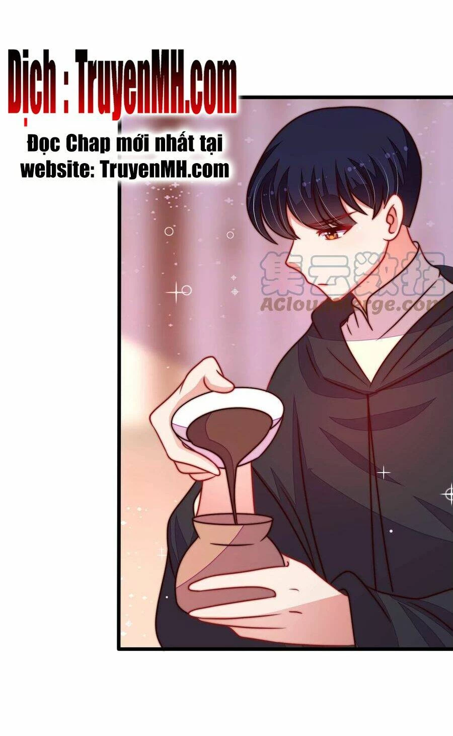 Ngày Nào Thiếu Soái Cũng Ghen Chapter 527 - 13