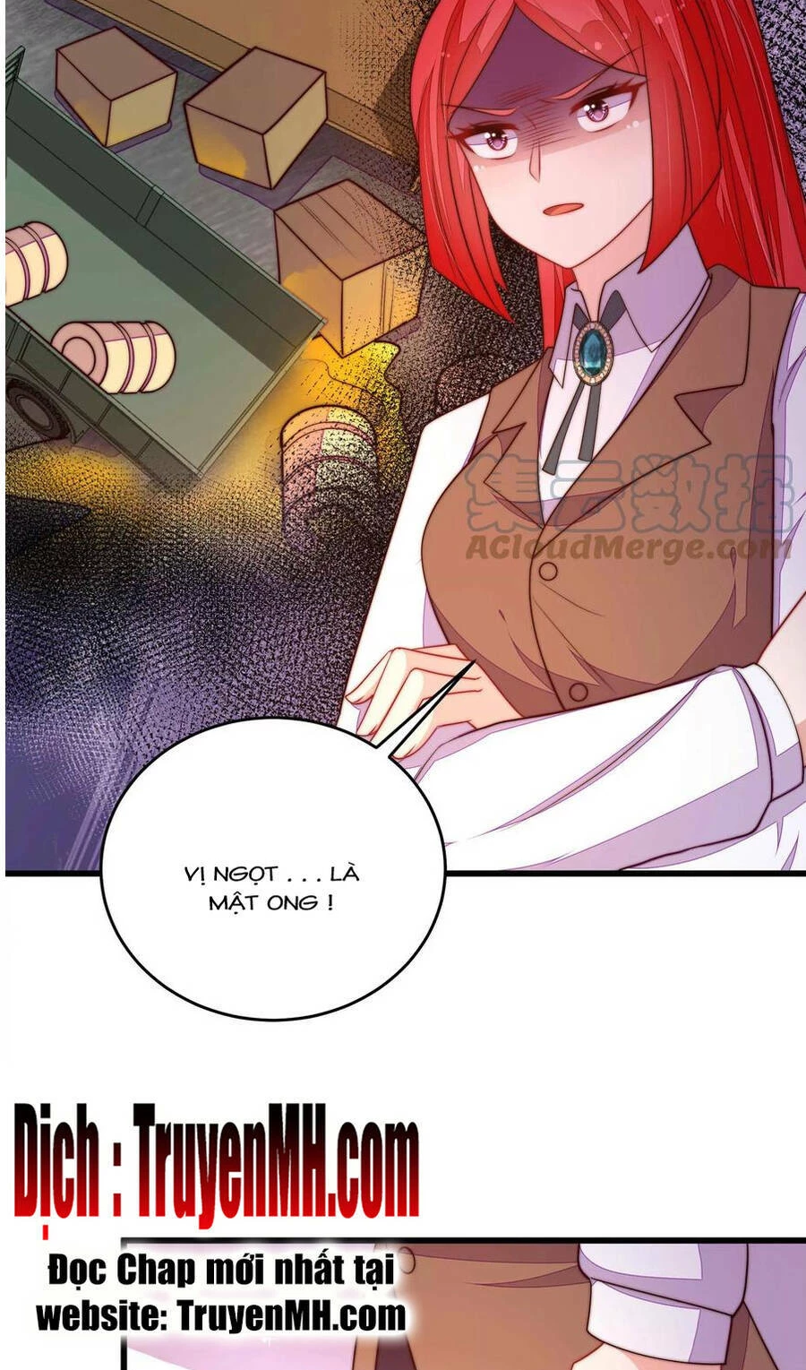 Ngày Nào Thiếu Soái Cũng Ghen Chapter 625 - 15