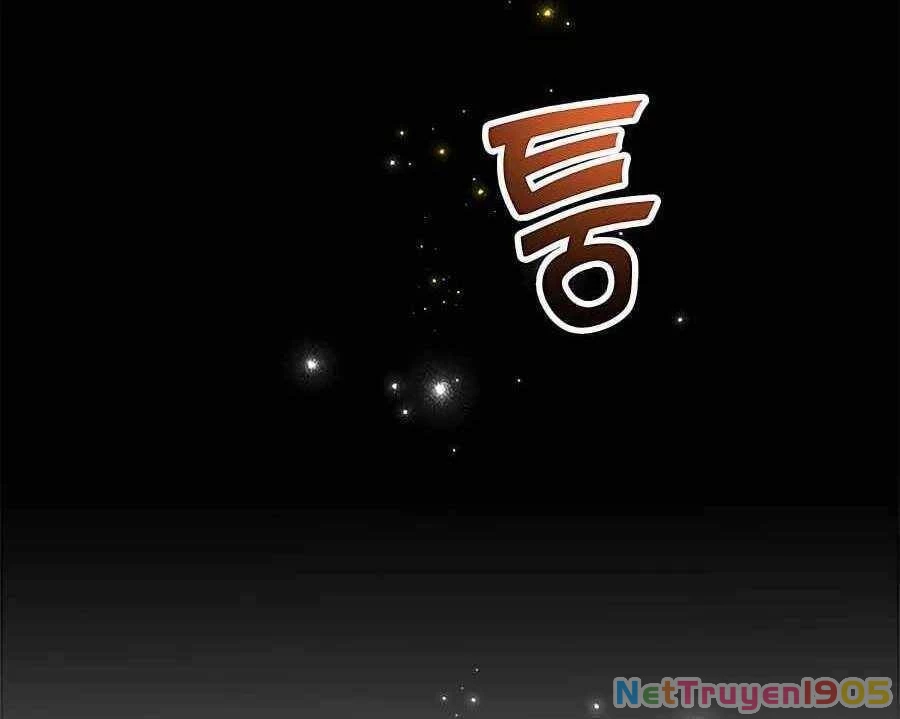 Tôi May Mắn Triệu Hồi Được Tinh Linh Hộ Vệ Hạng 10 Chapter 7 - 28