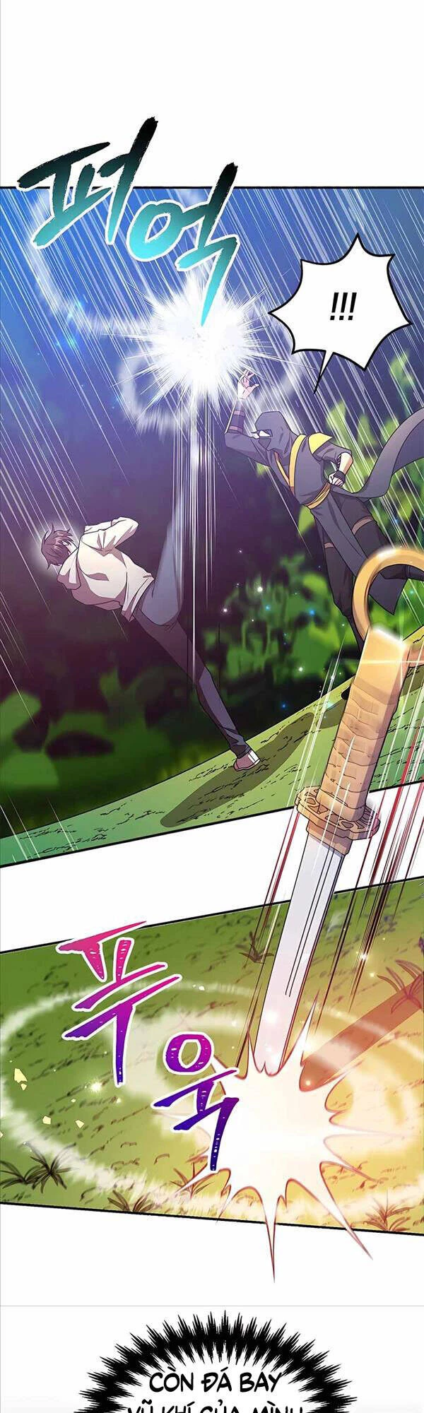Tôi May Mắn Triệu Hồi Được Tinh Linh Hộ Vệ Hạng 10 Chapter 9 - 17