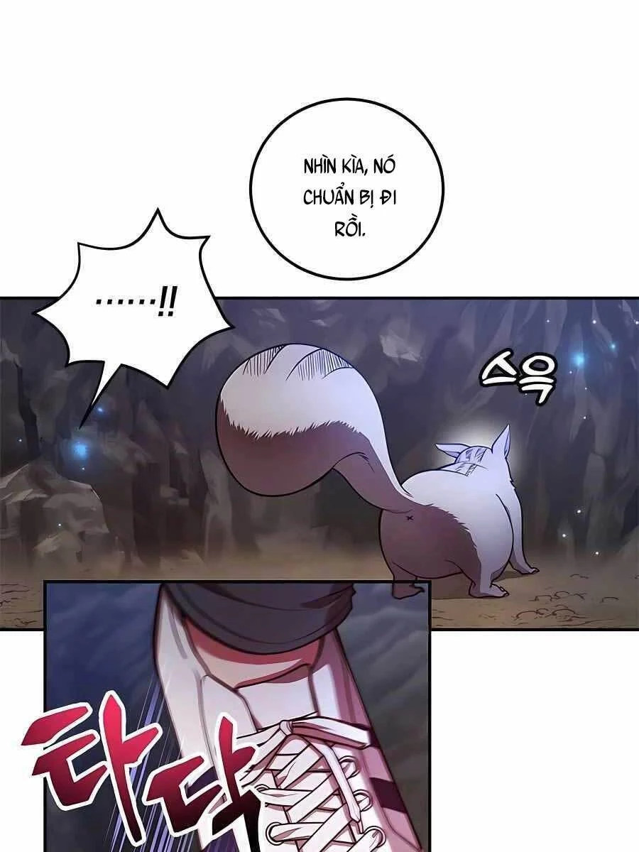 Tôi May Mắn Triệu Hồi Được Tinh Linh Hộ Vệ Hạng 10 Chapter 12 - 5