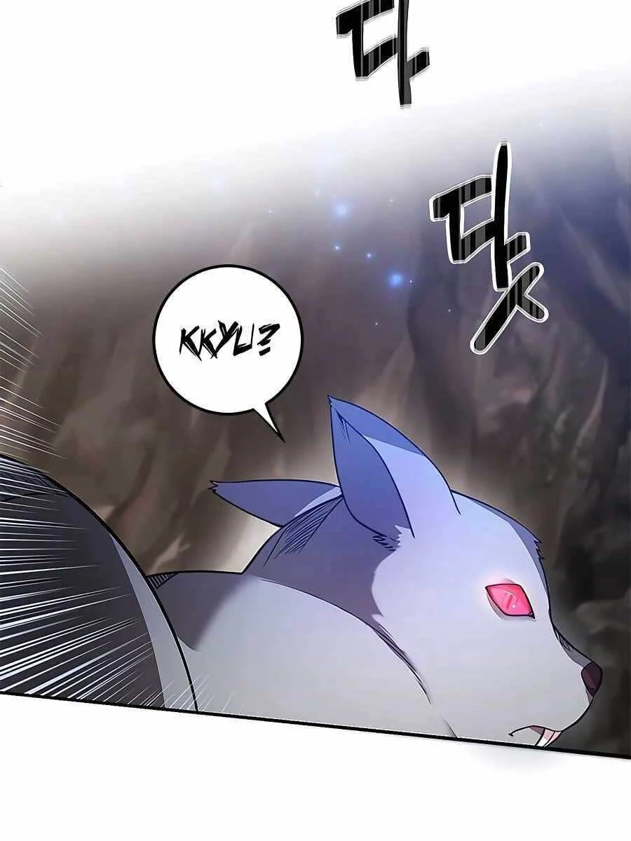 Tôi May Mắn Triệu Hồi Được Tinh Linh Hộ Vệ Hạng 10 Chapter 12 - 8