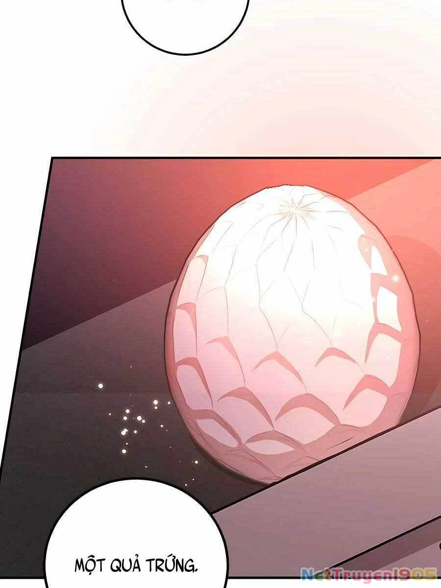 Tôi May Mắn Triệu Hồi Được Tinh Linh Hộ Vệ Hạng 10 Chapter 12 - 64