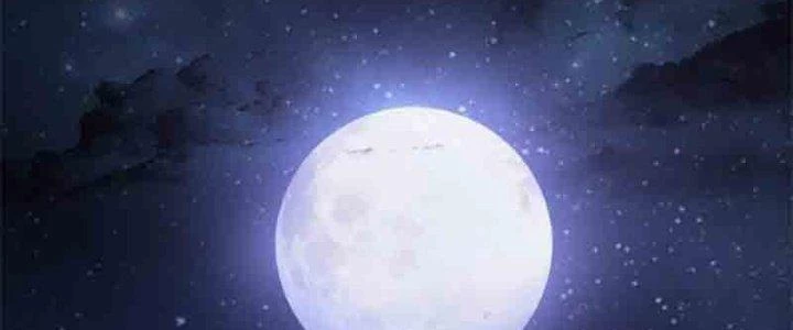 Trên Người Ta Có Một Cái Cây Thần Thoại Chapter 1 - 2