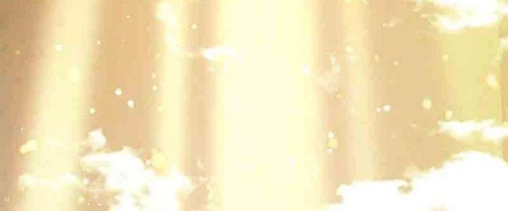 Trên Người Ta Có Một Cái Cây Thần Thoại Chapter 1 - 243