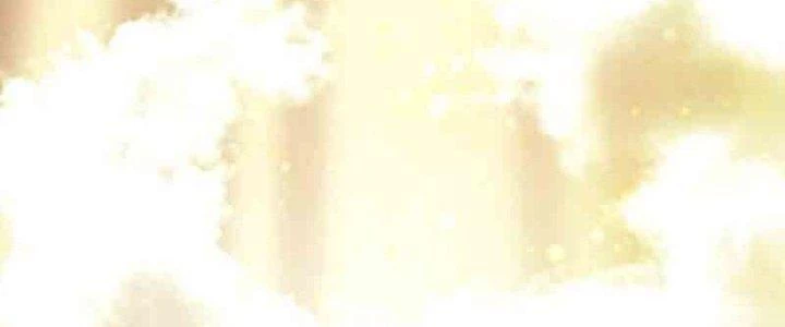 Trên Người Ta Có Một Cái Cây Thần Thoại Chapter 1 - 244