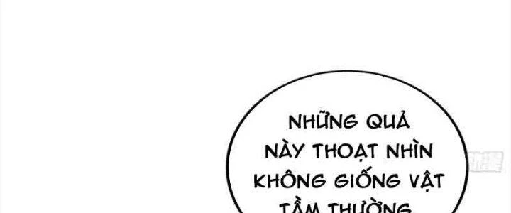 Trên Người Ta Có Một Cái Cây Thần Thoại Chapter 2 - 28