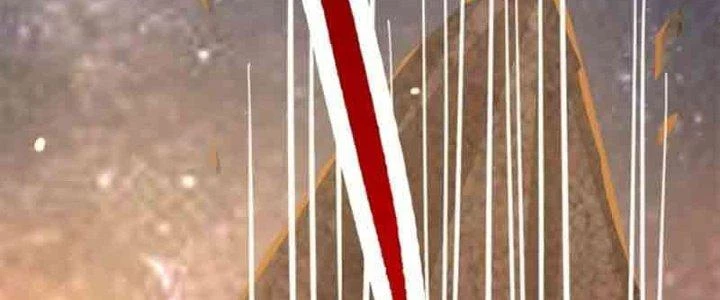 Trên Người Ta Có Một Cái Cây Thần Thoại Chapter 2 - 186