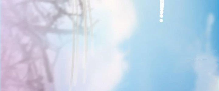 Trên Người Ta Có Một Cái Cây Thần Thoại Chapter 6 - 180