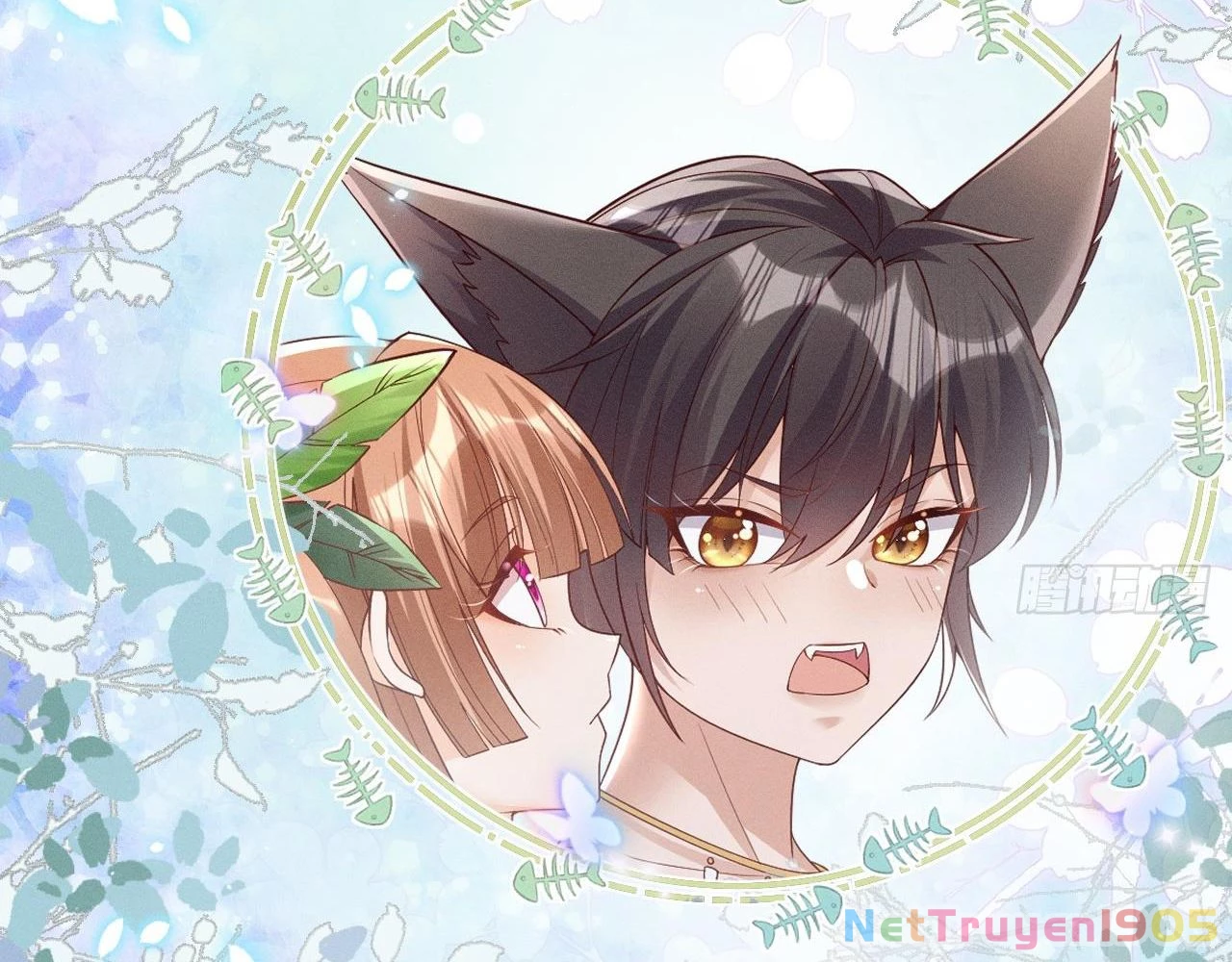 Phu Quân Thú Thế Tranh Sủng Thành Nghiện Chapter 1 - 19