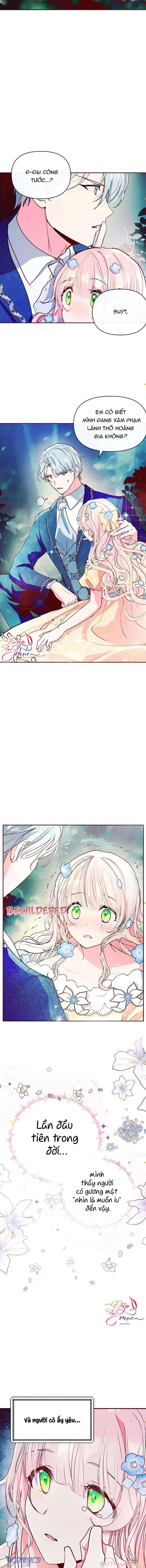 Đại Công Tước, Đó Chỉ Là Sai Lầm! Chapter 8 - 9