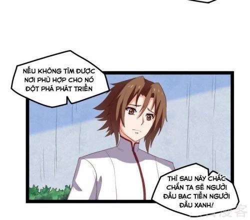 Đạp Toái Tiên Hà Chapter 166 - 20