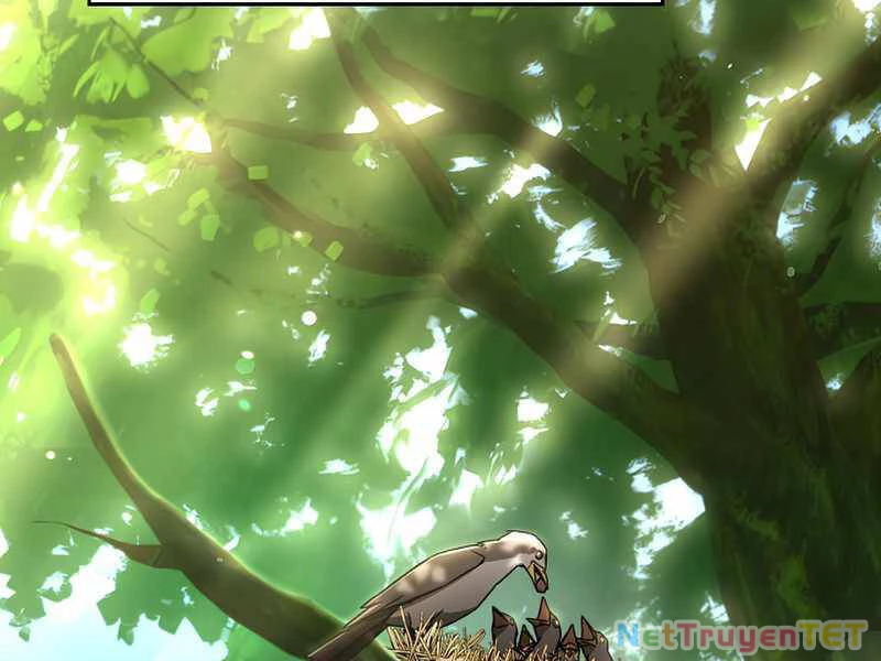 Anh Hùng Trở Về Chapter 26 - 5