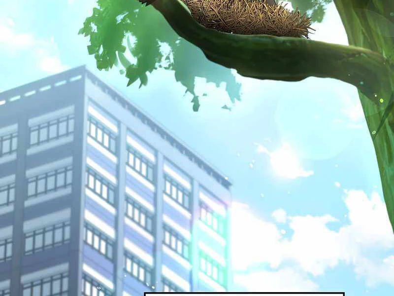 Anh Hùng Trở Về Chapter 26 - 6