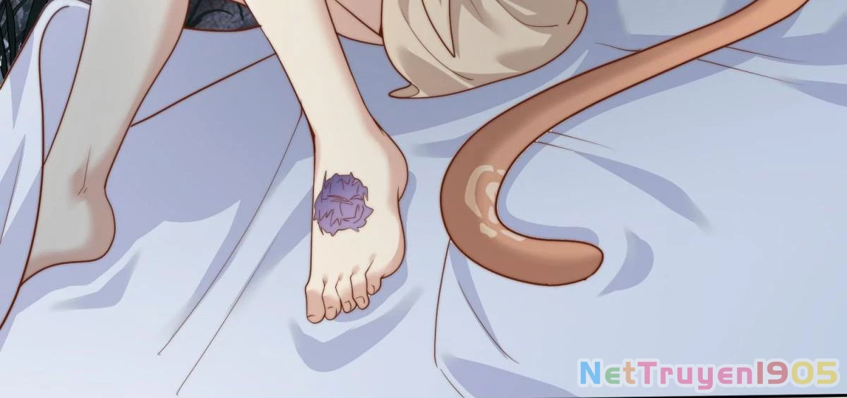 Thú Thế Nữ Vương Hôm Nay Lật Thẻ Rồi Sao ??? Chapter 9 - 15