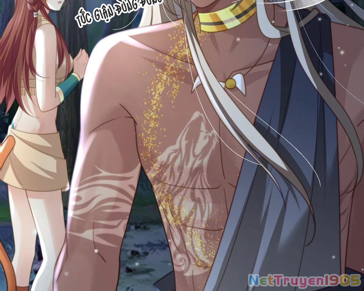 Thú Thế Nữ Vương Hôm Nay Lật Thẻ Rồi Sao ??? Chapter 13 - 13