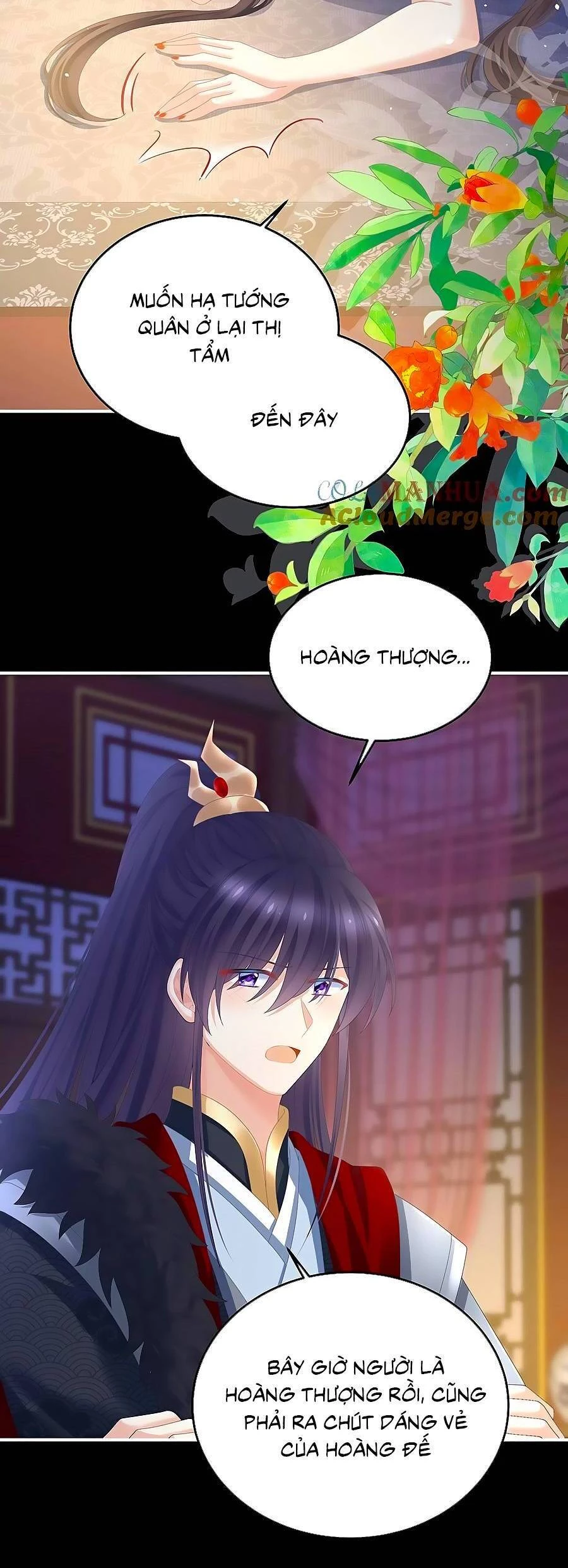 Hậu Cung Của Nữ Đế Chapter 354 - 9