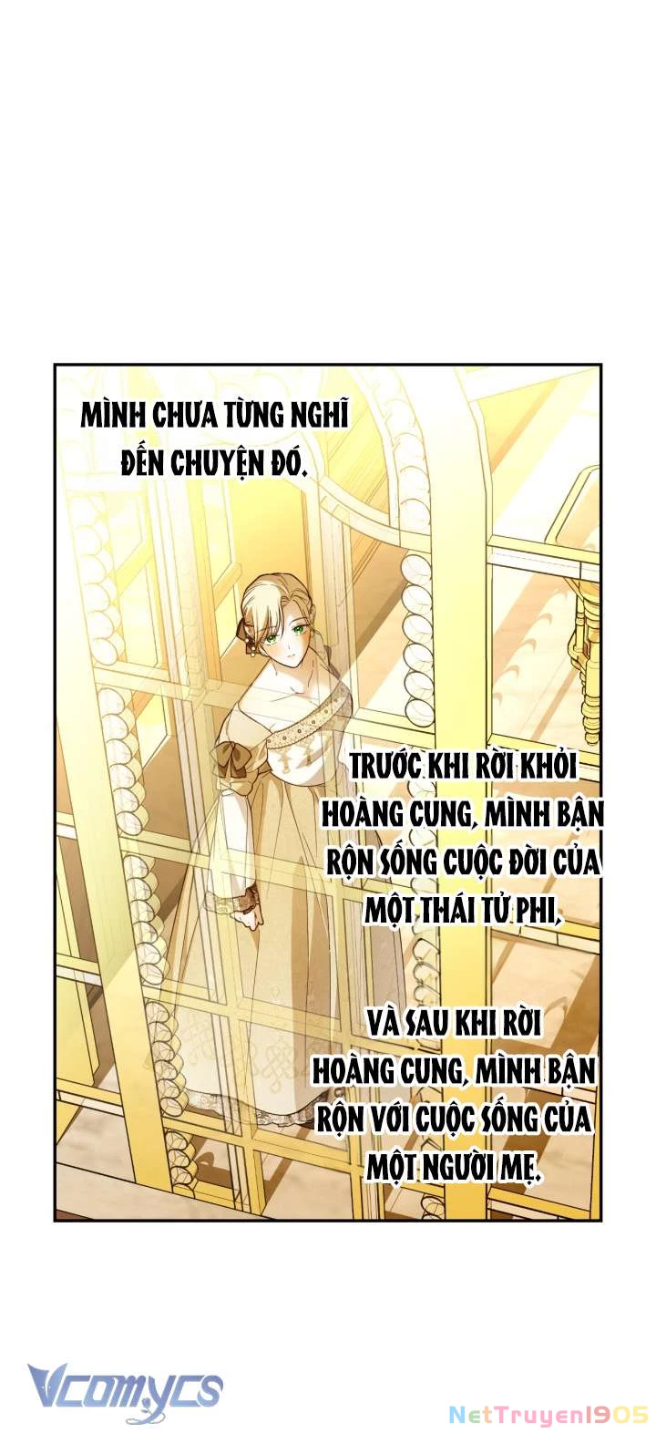 Phương Pháp Che Giấu Đứa Con Của Hoàng Đế Chapter 83 - 34