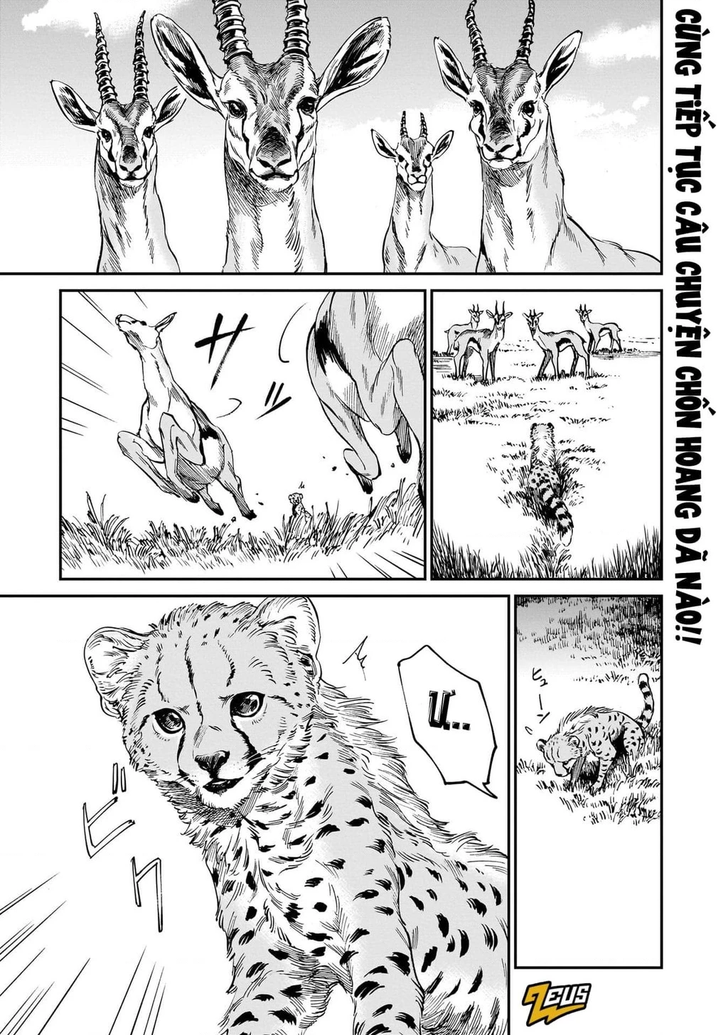 Hổ Vẫn Chưa Muốn Xơi Rồng Chapter 19 - 4