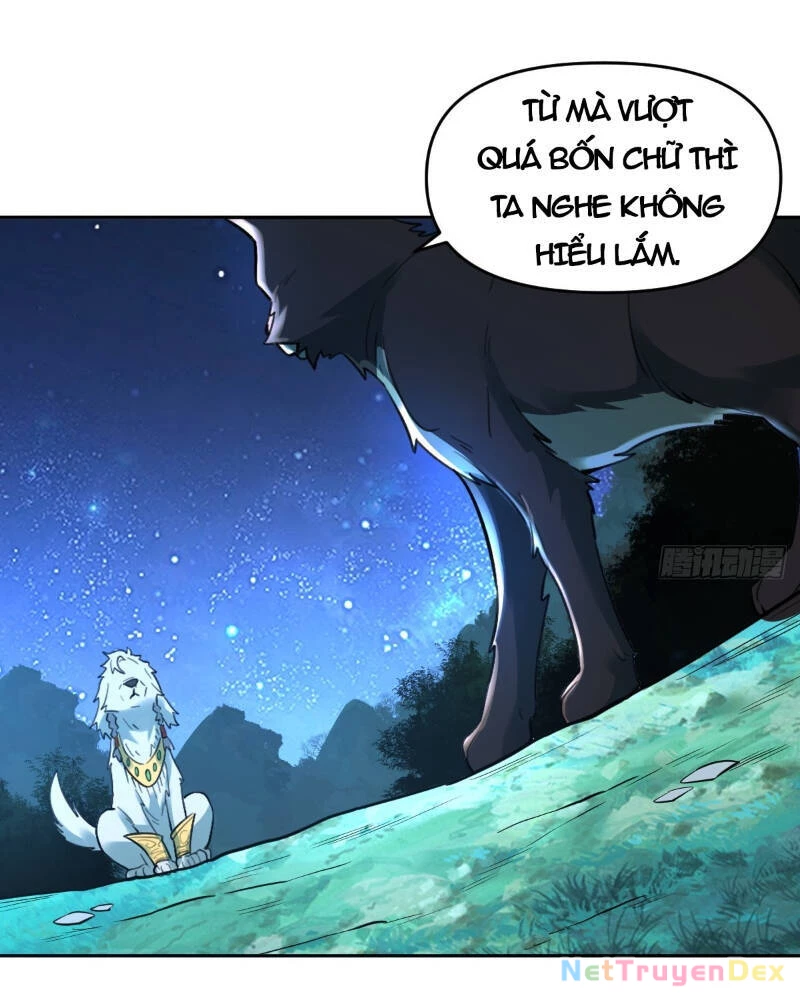 Nguyên Lai Ta Là Tu Tiên Đại Lão Chapter 415 - 15