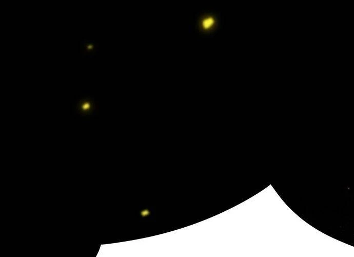 Thánh Hiệp Sĩ Cấp Sss Chapter 23 - 109