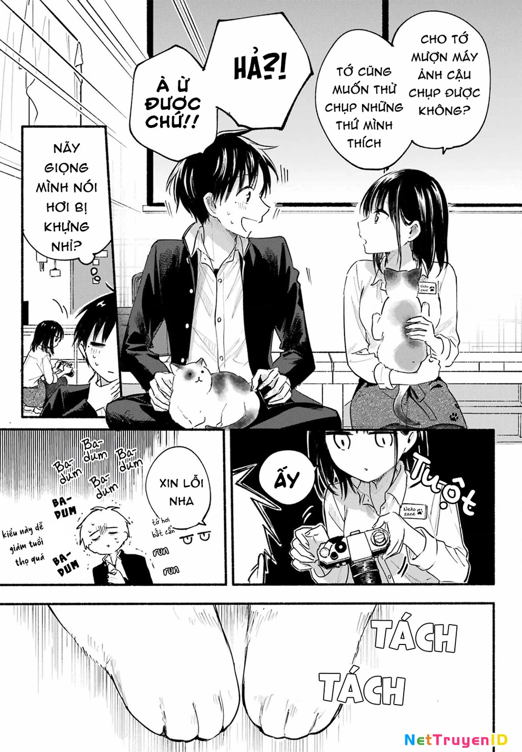 Cô Nàng Mèo Ngủ Gật Và Chàng Trai Hướng Nội Chapter 17 - 23