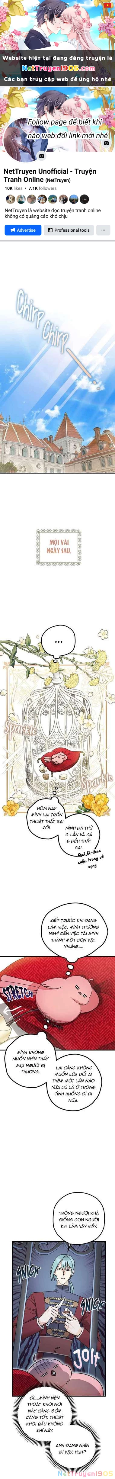 Liều Thuốc An Thần Của Bạo Chúa Chapter 7 - 1