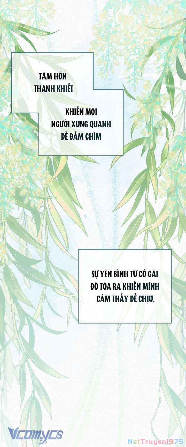 Lần Nữa Toả Sáng Chapter 93 - 26