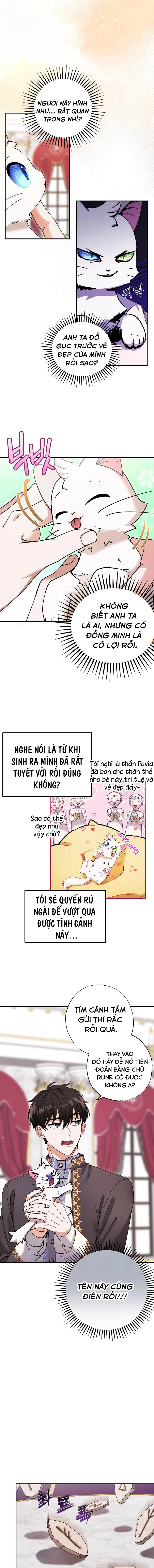 Trở Thành Miêu Nữ Của Hoàng Đế Chapter 1 - 6