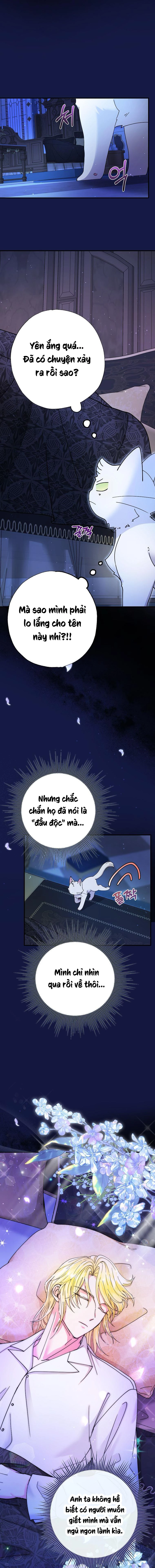 Trở Thành Miêu Nữ Của Hoàng Đế Chapter 6 - 3