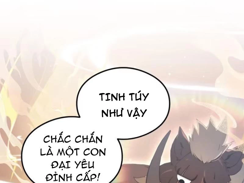 Hoá Ra Ta Đã Vô Địch Từ Lâu Chapter 31 - 42