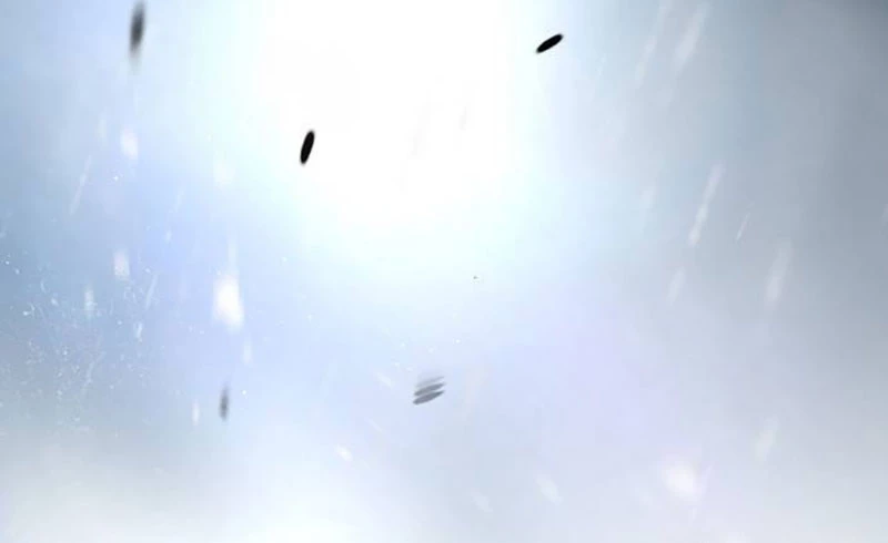 Giang Hồ Thực Thi Công Lý Chapter 109 - 110