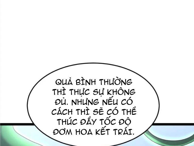 Toàn Cầu Băng Phong: Ta Chế Tạo Phòng An Toàn Tại Tận Thế Chapter 396 - 3