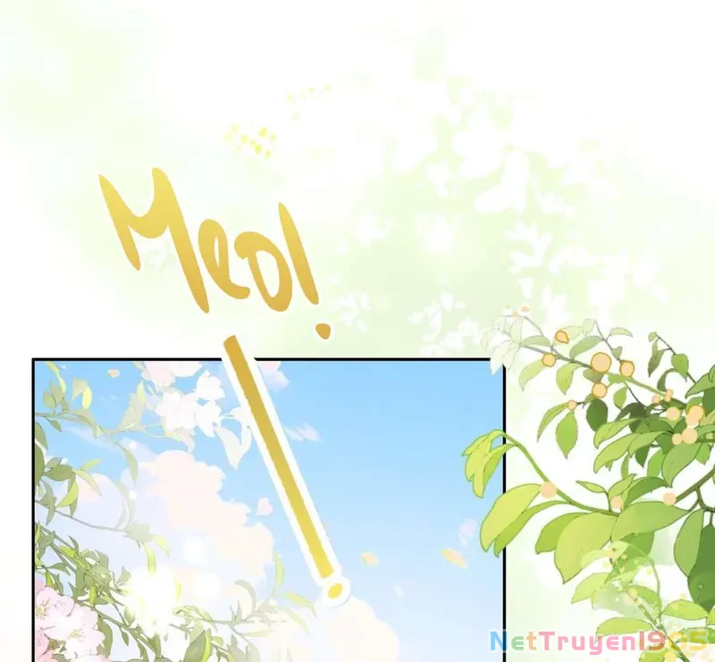 Sổ Tay Tâm Ý Chapter 1 - 3