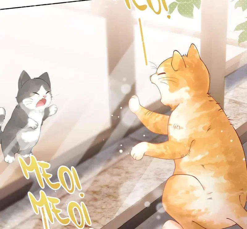 Sổ Tay Tâm Ý Chapter 1 - 8