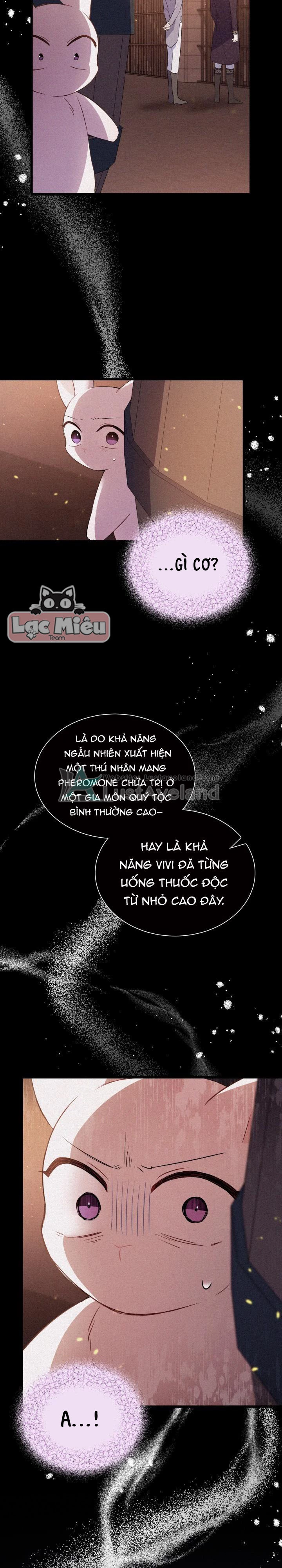 Mối Liên Kết Giữa Báo Đen Và Bé Thỏ Chapter 58 - 11