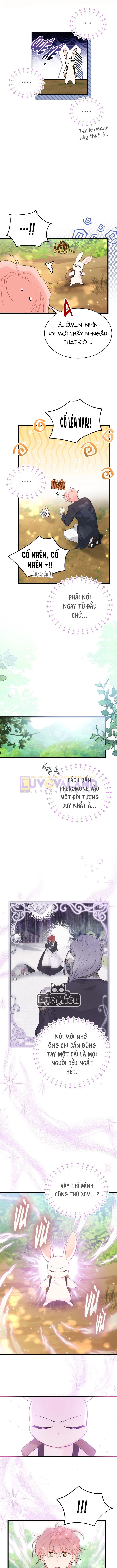 Mối Liên Kết Giữa Báo Đen Và Bé Thỏ Chapter 61 - 8