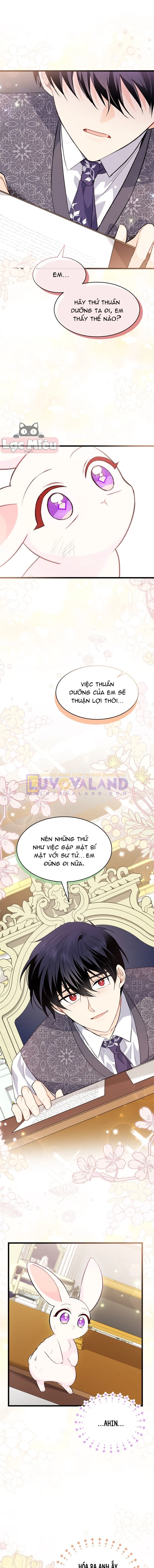 Mối Liên Kết Giữa Báo Đen Và Bé Thỏ Chapter 83 - 15