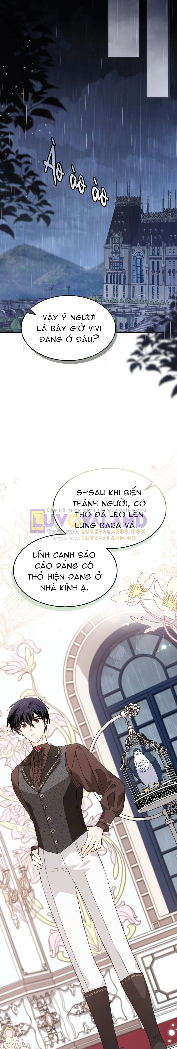 Mối Liên Kết Giữa Báo Đen Và Bé Thỏ Chapter 86 - 11