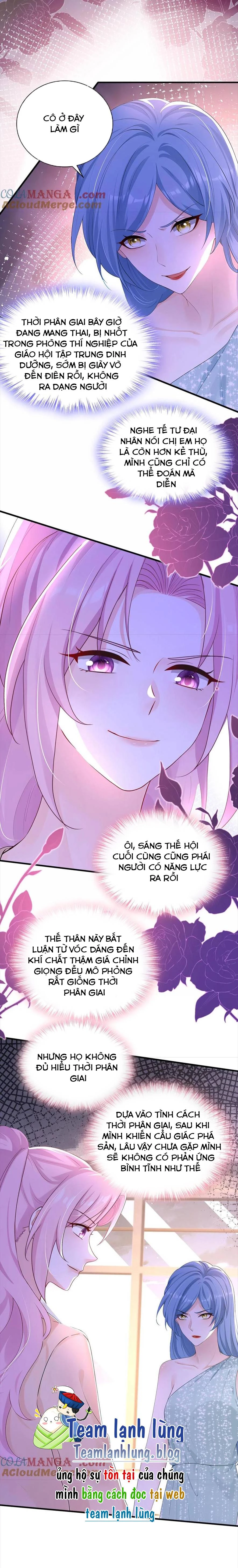 Tái Sinh Trở Lại : Chồng Cũ Khóc Lóc Cầu Xin Tái Hôn Chapter 198 - 8