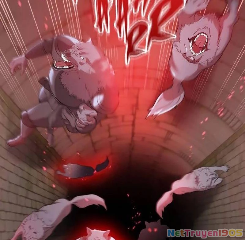 Mình Tao Là Siêu Việt Giả Mạnh Nhất! Chapter 12 - 37