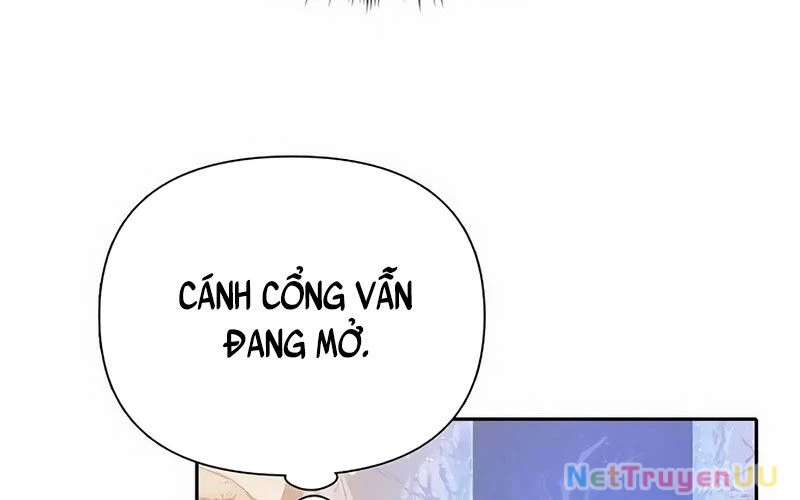 Những Ranker Cấp S Mà Tôi Nuôi Dưỡng Chapter 151 - 8