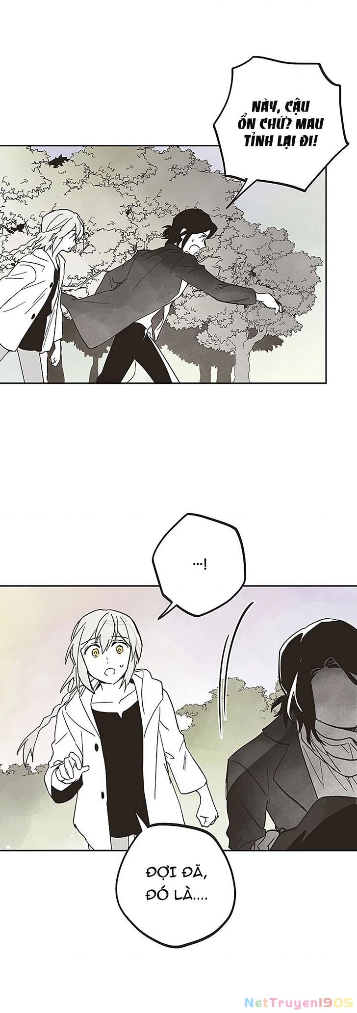 Thủy Tổ Pháp Sư Chapter 4 - 41