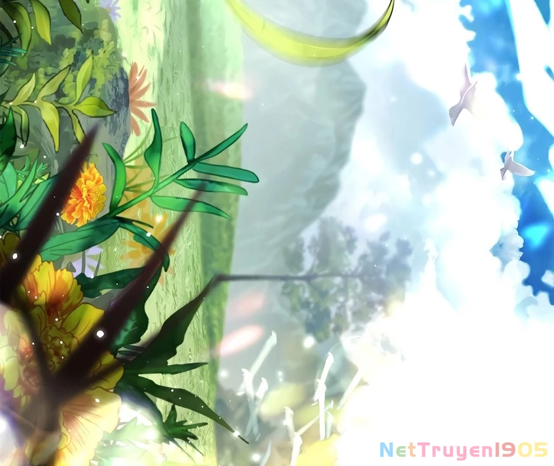 Thiên Tài Ma Pháp Sư Giấu Nghề Chapter 92 - 209