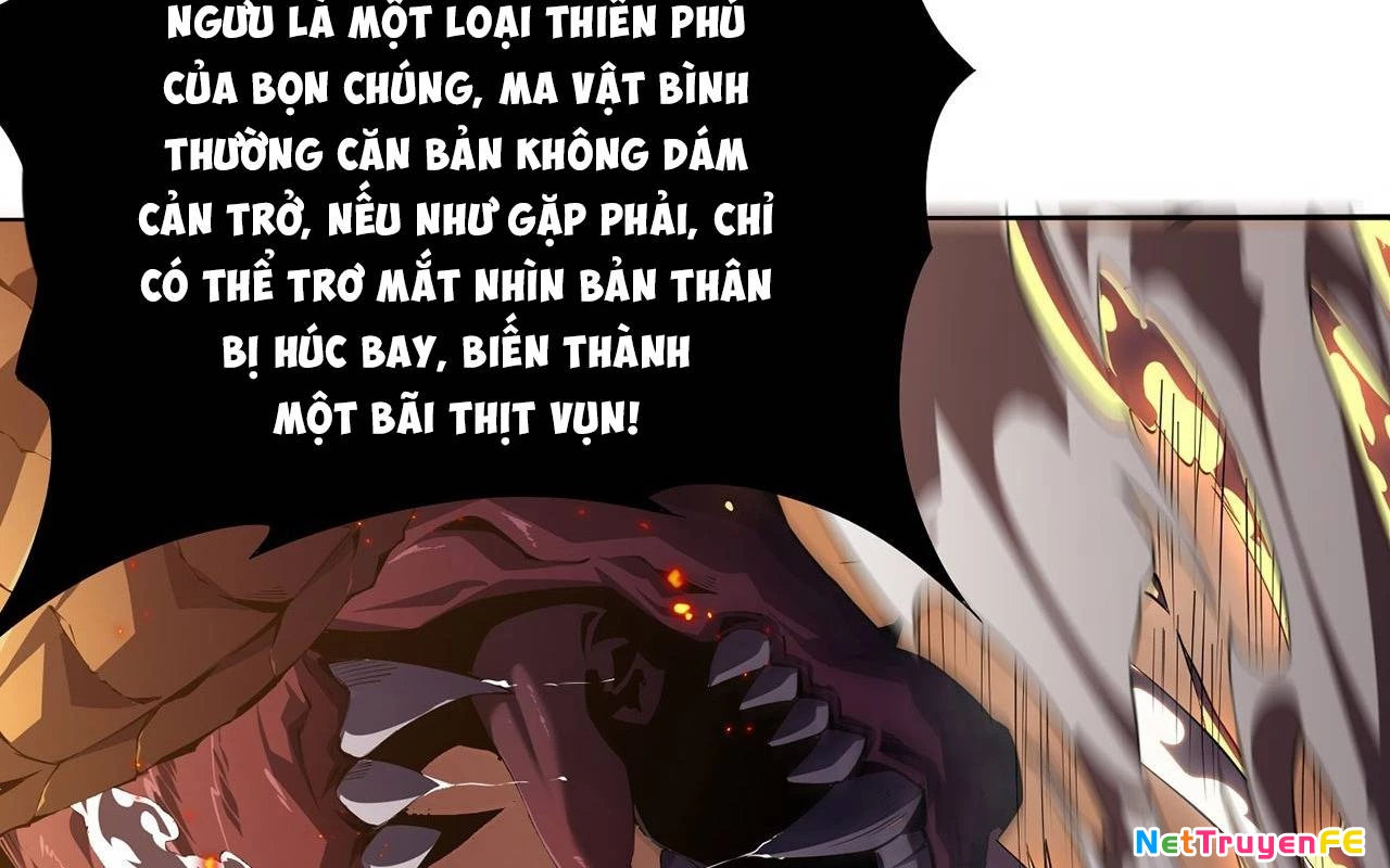 Sát Thủ Cấp Sss Hồi Quy Chapter 2 - 113