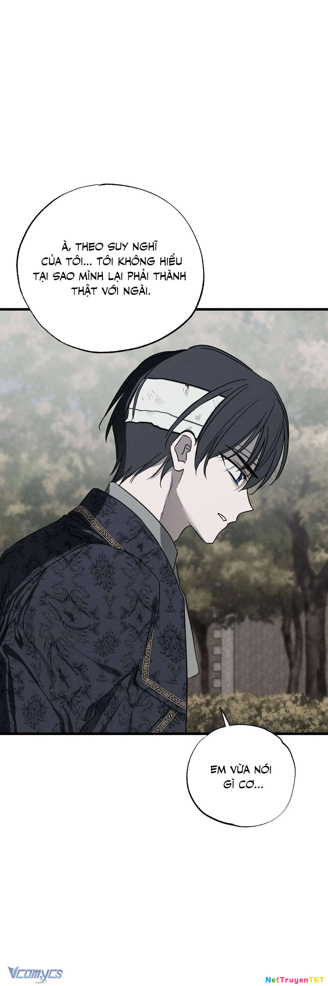 Vị Phu Quân Căm Ghét Tôi Đã Mất Trí Nhớ Chapter 46 - 62