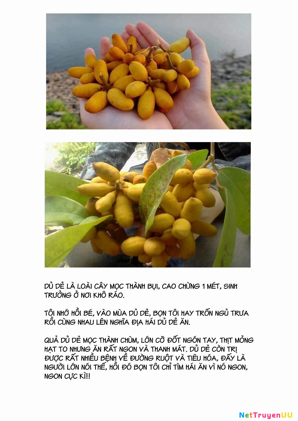 13 Giờ Sáng (truyện VN) Chapter 4 - 22