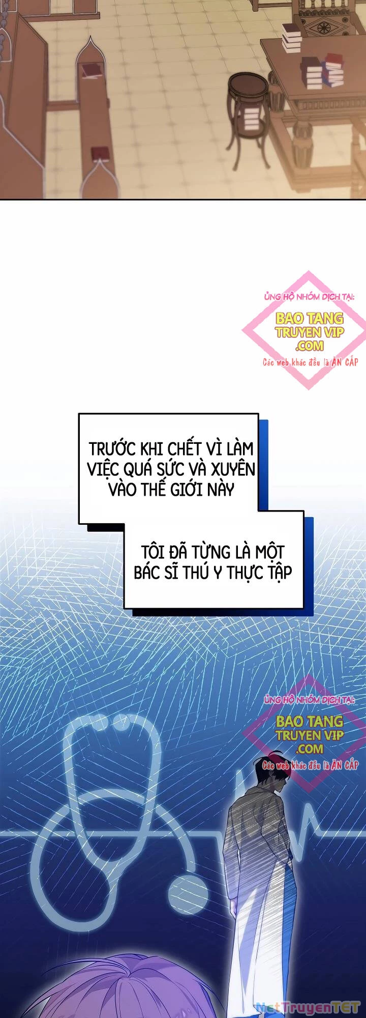 Thuần Thú Sư Thiên Tài Chapter 4 - 12