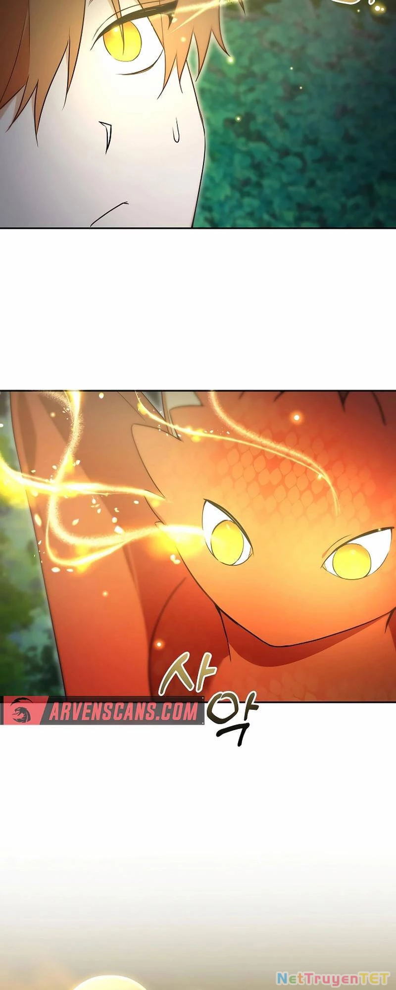 Thuần Thú Sư Thiên Tài Chapter 6 - 48