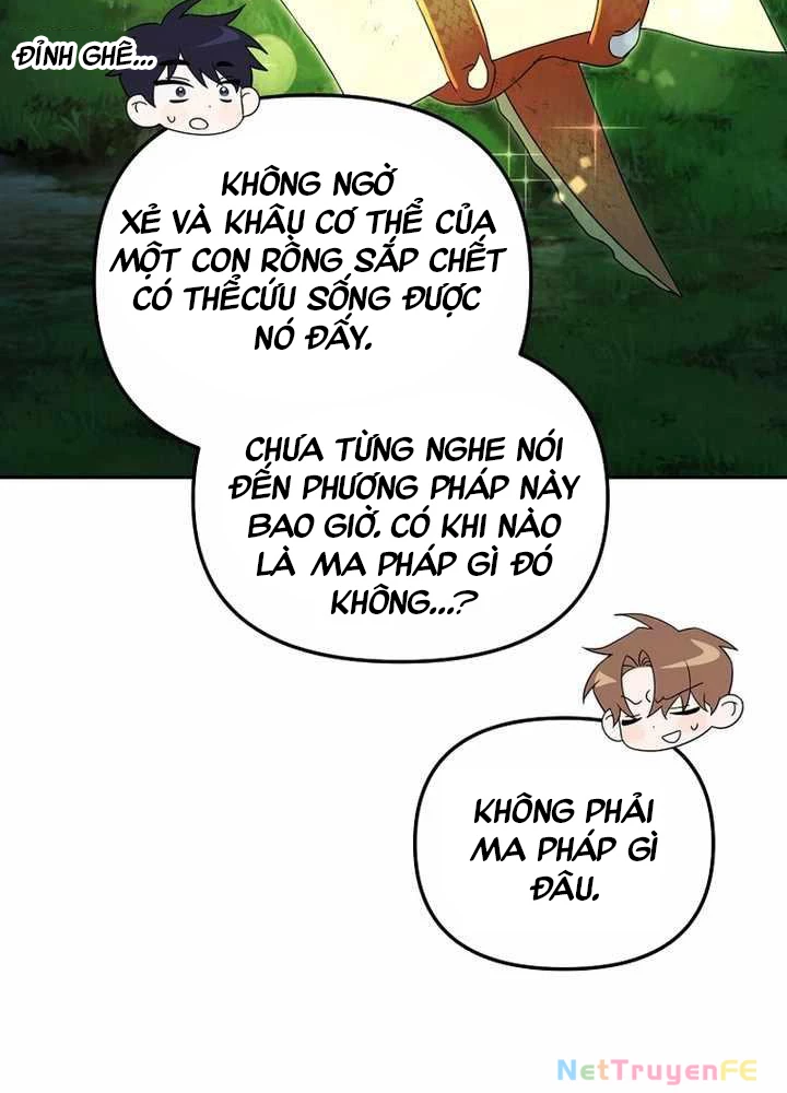 Thuần Thú Sư Thiên Tài Chapter 23 - 23